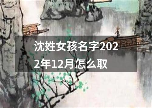 沈姓女孩名字2022年12月怎么取